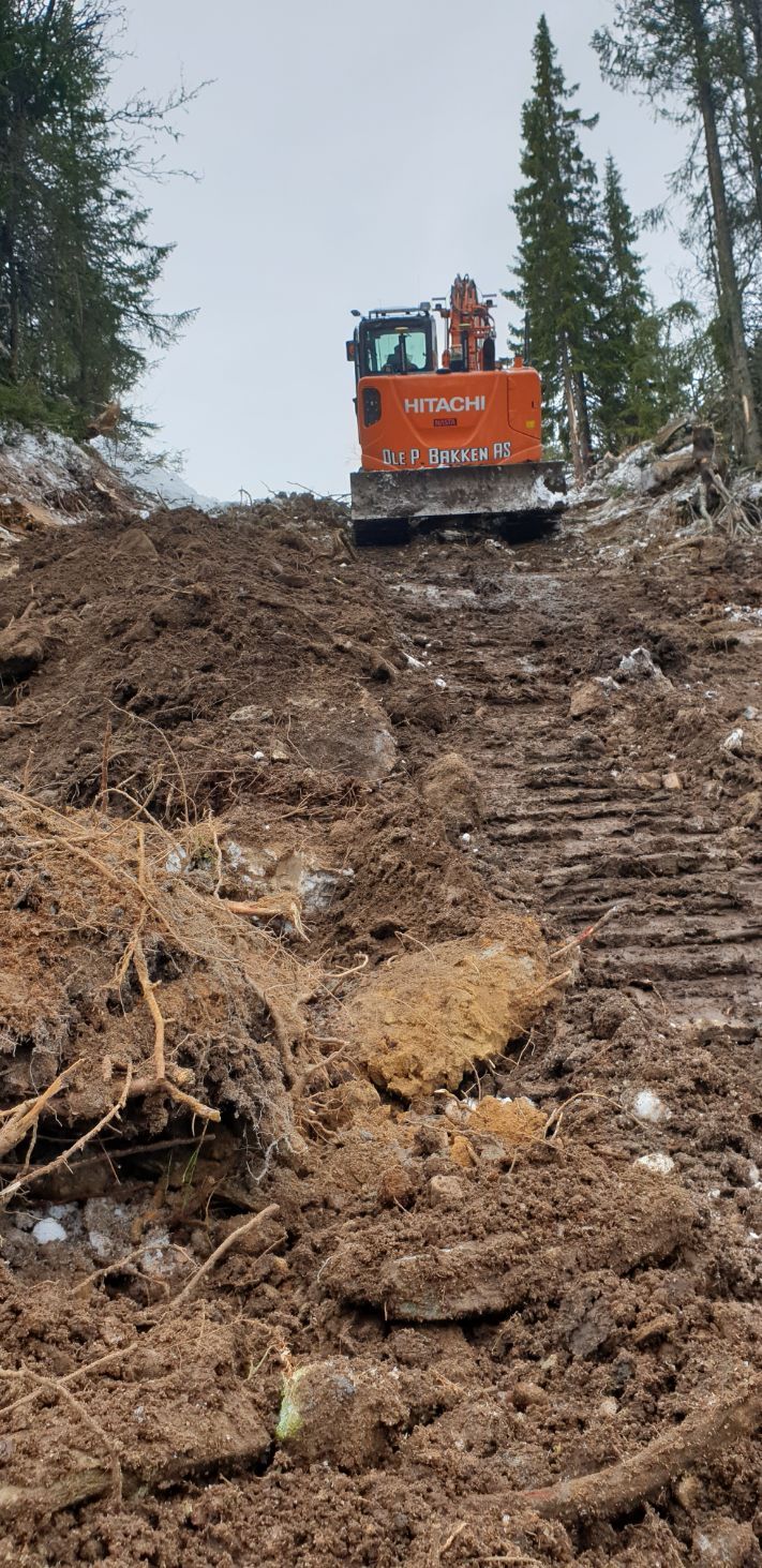 Graving av vei i skog