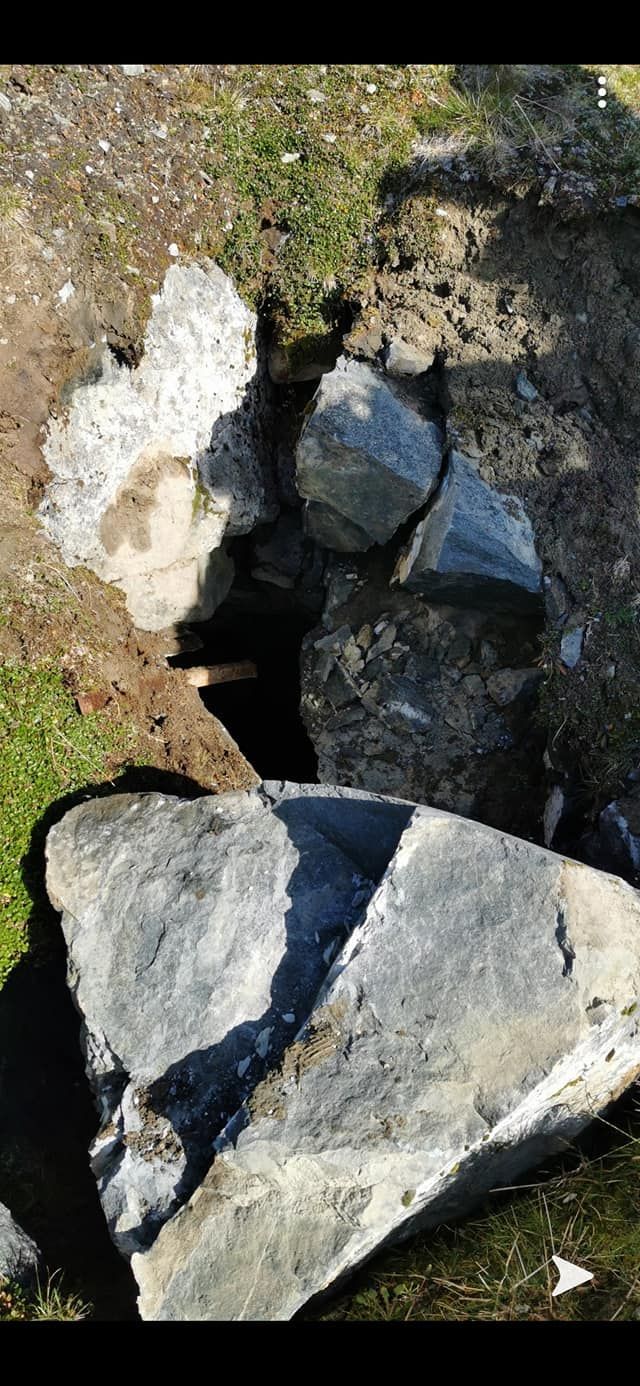 Store steiner